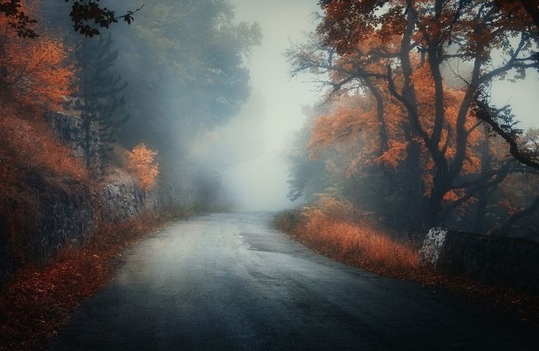 Fogged road in fall